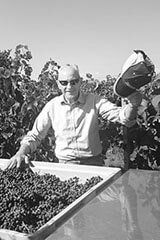 zehebauer